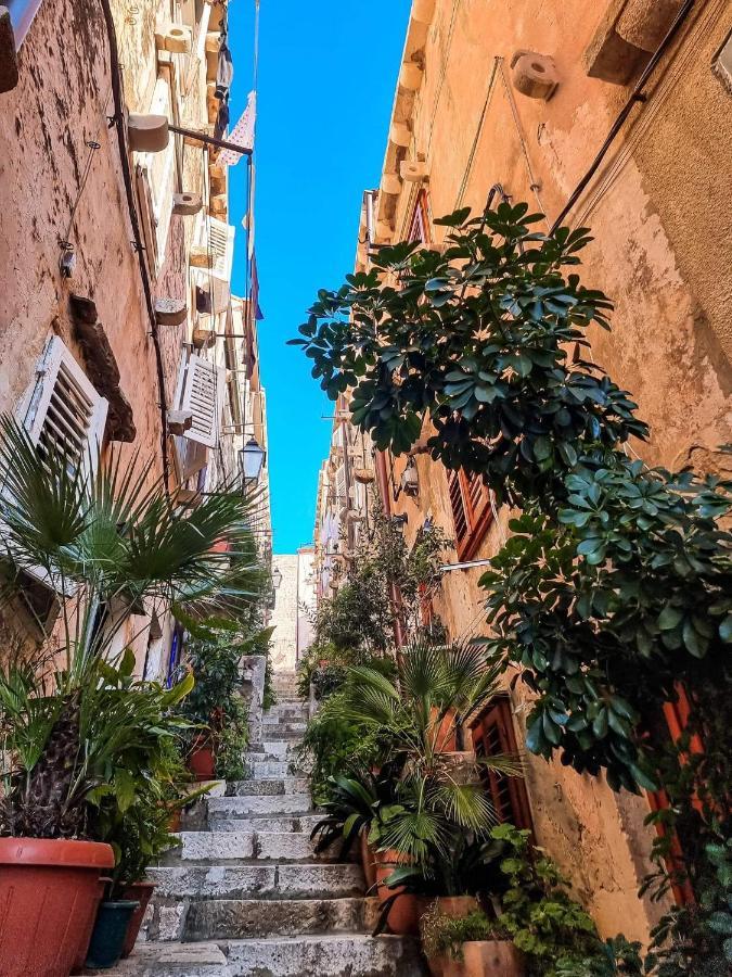 House Nina Lägenhet Dubrovnik Exteriör bild